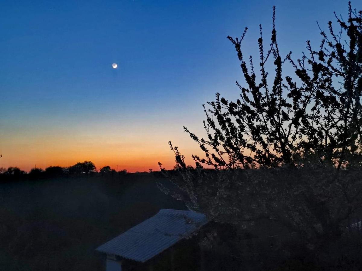 Gite Mimosa Saint-Florent-des-Bois Dış mekan fotoğraf